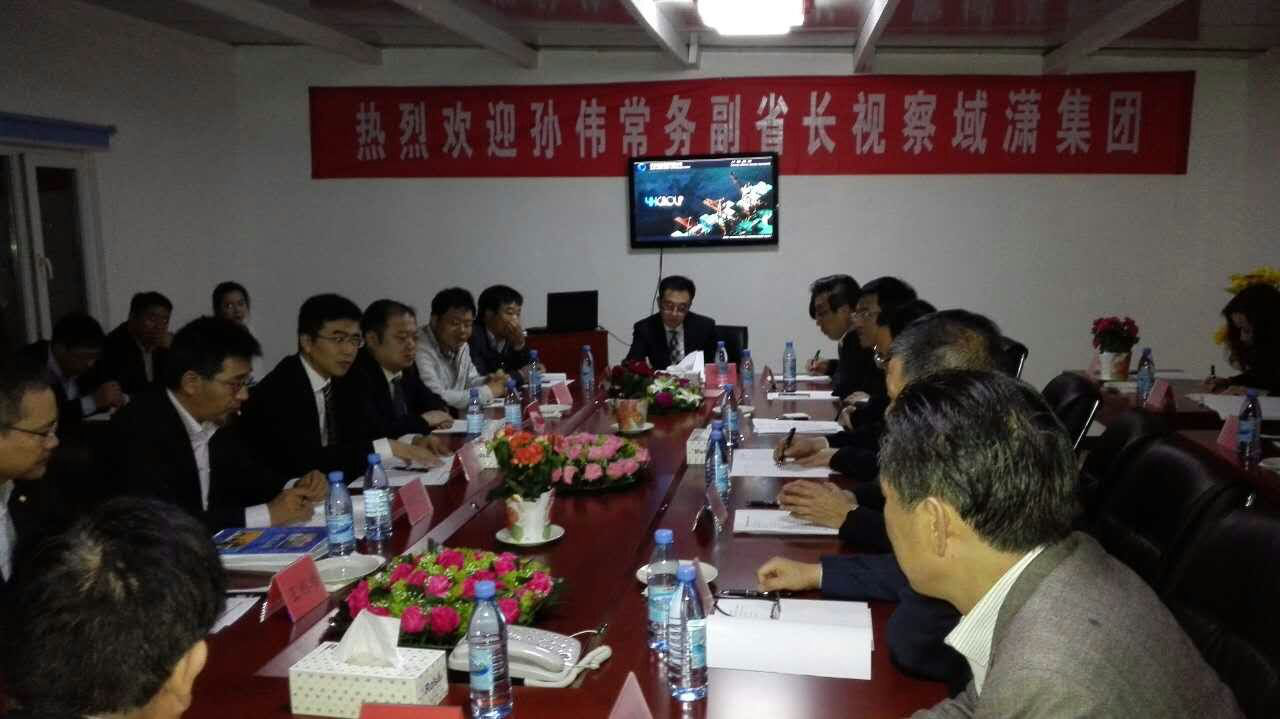 山東省常務副省長孫偉一行視察域瀟集團