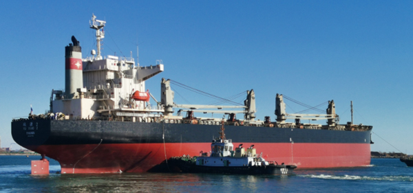 2010年8月23日濟南時報就我司非洲礦業的報道