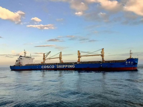 濟南域瀟集團莫桑比克子公司（TZM礦業）...